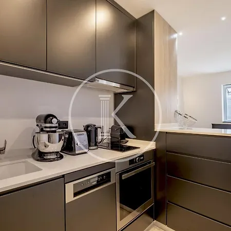 Champs-elysees Apartment Paris